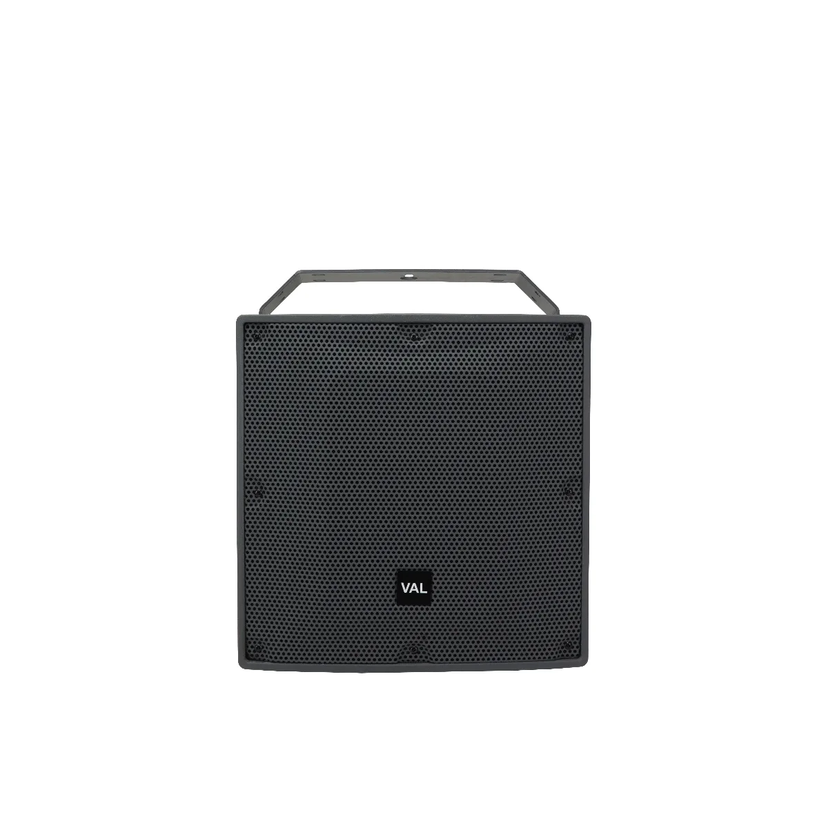 Val Audio WP12CX — official product photo
